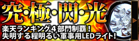 ���粷�䲰FORTUNE